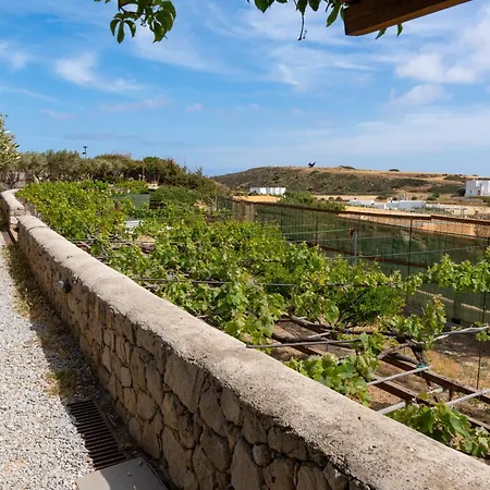 Luna Rossa Milos - Chili Moon *