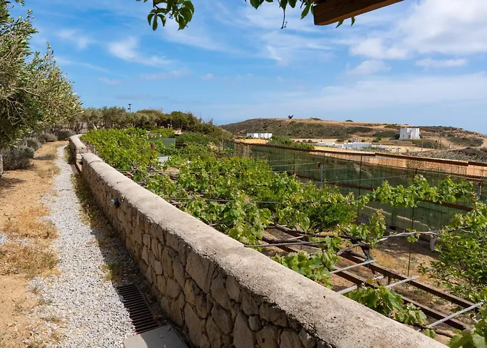 Luna Rossa Milos - Chili Moon *